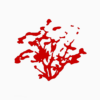 Rote Jacke