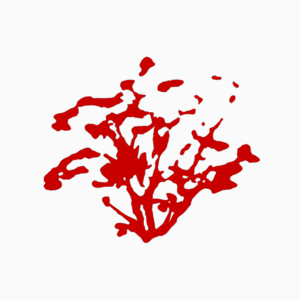 Rote Jacke