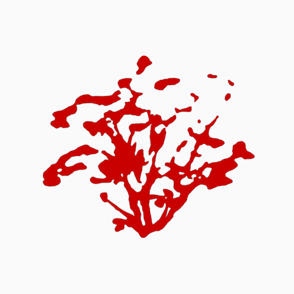 Rote Jacke